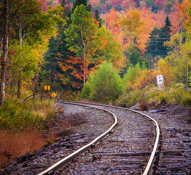 Train Tracks Curving With A Beautiful View Of Fall Colored Trees.